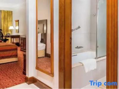 Holiday Inn Bur Dubai - Embassy District - 40