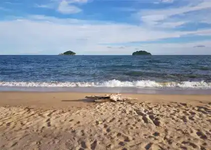 Sea Smile - 6