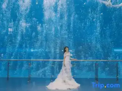 Dali Manju Ocean - 7