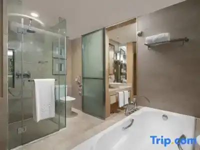 Sofitel Nanjing Galaxy - 83