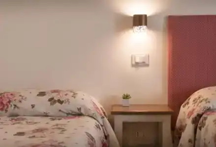 Rosa di Assisi - 20