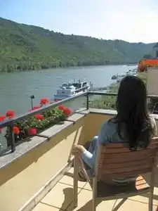 Baudobriga Rheinhotel - 11
