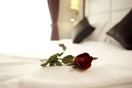 Sukhumvit Suites - 81