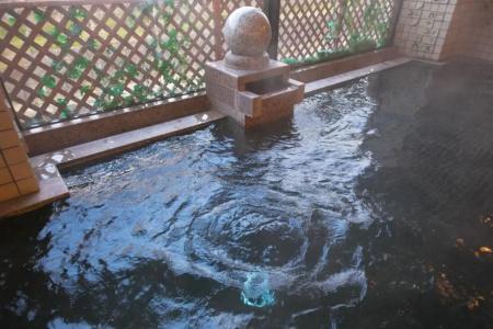 Ryokan Seishounagon - 46
