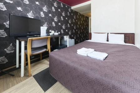 Select Inn Fujisan Gotemba - 45