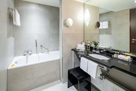 Park Plaza Trier - 60