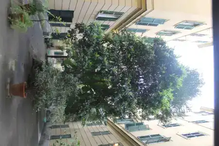 Rovati - 0