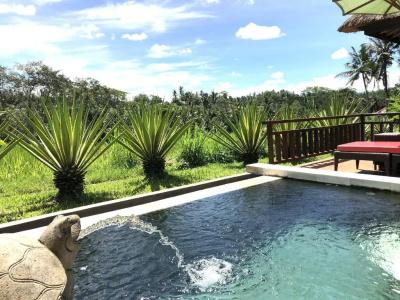 Villa Semana & Spa - 219