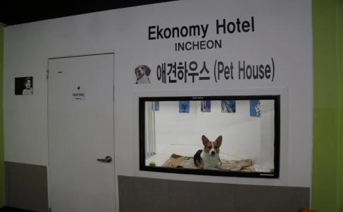 Ekonomy Incheon - 34