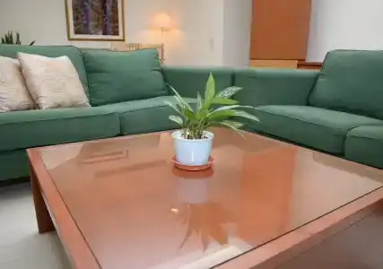 The Maple Suite - 7