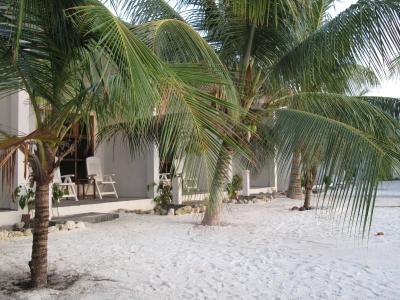 Lagoon View Maldives - 17