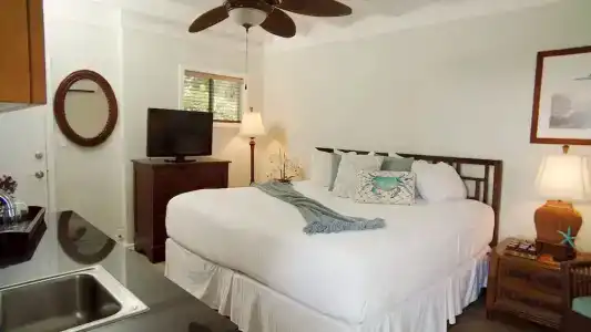 Coconut Palm Inn - 88