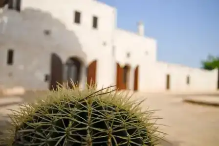 Masseria Valente - 33