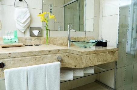 Holiday Inn Parque Anhembi, An Ihg - 87