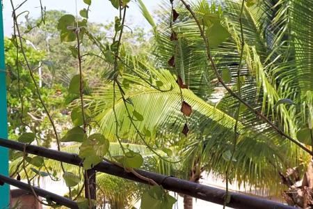 Andrea´s Tulum - 60