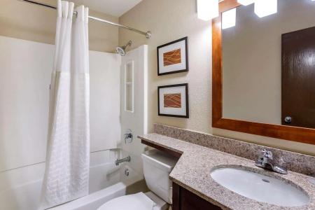 Comfort Inn Nashville West - 8