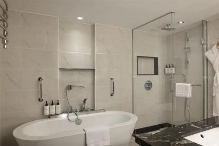 Conrad Istanbul Bosphorus - 117