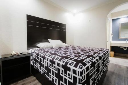 Palace Inn Tx-249 - 7