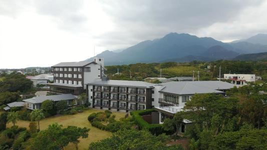 Yakushima Green - 37