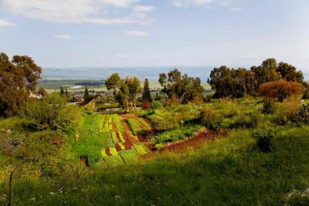 Mizpe Hayamim by Isrotel Exclusive - 42