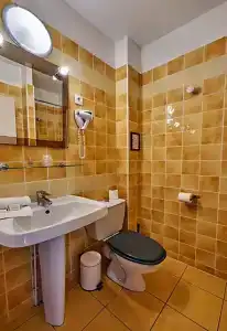 Logis hôTel Du ThéâTre - 24