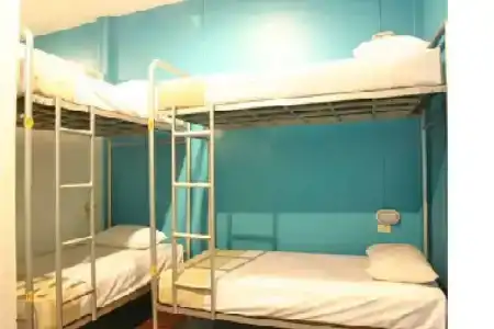 OYO 1054 Phuket Backpacker Hostel - 5