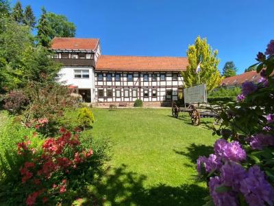 Pension Gelpkes Mühle - 47