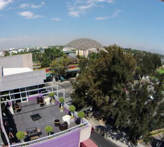 Grand Prix Aeropuerto Cdmx - 18