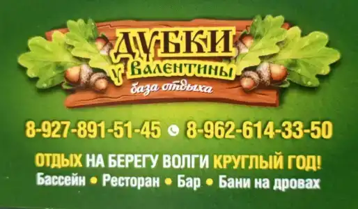 Дубки у Валентины - 9