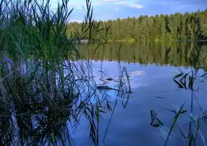 Хатинь Бор - 15