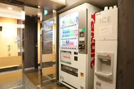Apa Keisei Narita Ekimae - 13
