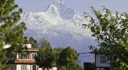 Sarangkot Sherpa P ltd - 4