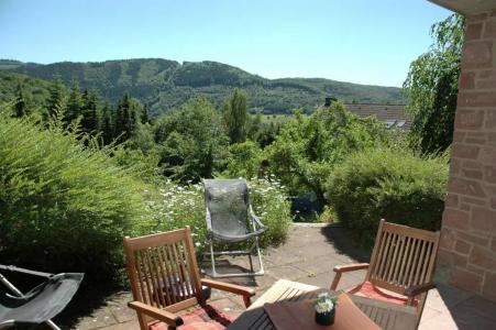 Pension Haus Diefenbach - 54