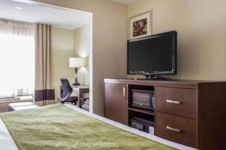 Comfort Suites at Tucson Mall - 53