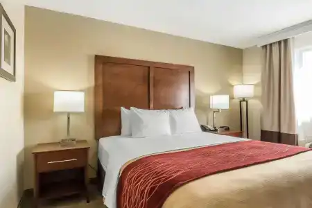 Comfort Inn Nashville West - 6