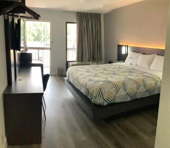 Americas Best Value Inn - - 1