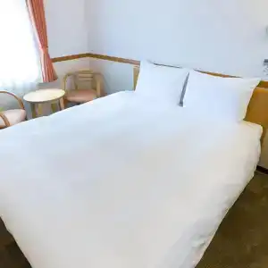 Toyoko Inn Ekimae - 12