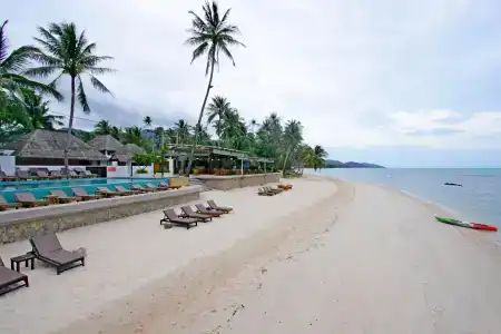 Mimosa Resort & Spa - 28