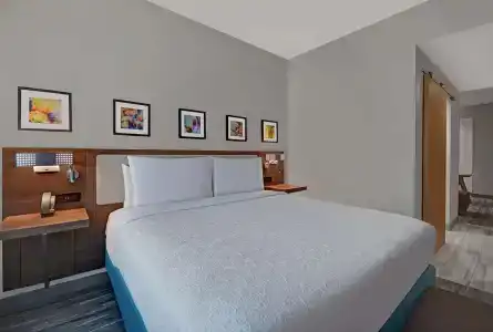 Hilton Garden Inn Houston Medical Center, Tx - 4