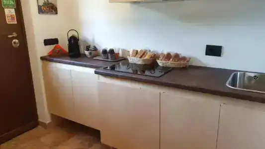 L'Antico Vigneto - 15