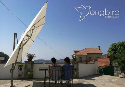 Songbird - 34