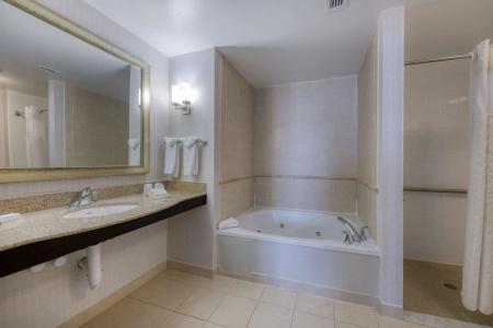 Hilton Garden Inn Southpoint - 9