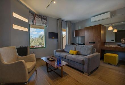 Anthemion Suites and Villas - 1