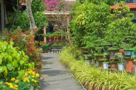 Betel Garden - 62