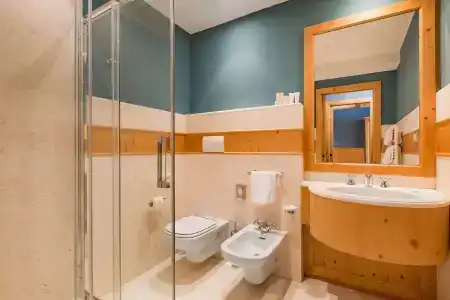 Radisson Residences Savoia Palace Cortina d’Ampezzo - 22