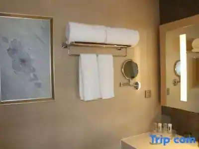 Holiday Inn Suzhou Huirong Plaza, An Ihg - 92