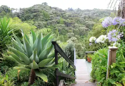 Maison de Rose - 8