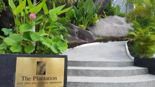 The Plantation Koh Tao - 47
