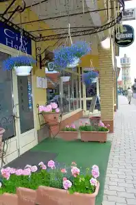 City Siófok - 1