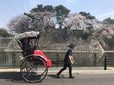 Nagoya Castle - 26